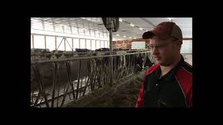 Automation in Dairy Farming - Virtual Dairy Barn Tour