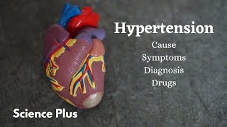 High Blood Pressure | Hypertension | Symptom | Management | Drugs | Science Plus