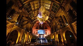 WFN Hope Gala 2018 - Event Highlights