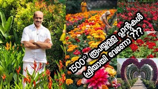 1500* രൂപയുടെ പ്ലാന്റുകൾ ഫ്രീയായി സ്വന്തമാക്കണോ ??? PSN HighTech Nursery Perinthalmanna