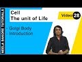 Cell - The Unit of Life | NEET | Golgi Body - Introduction | Neela Bakore Tutorials