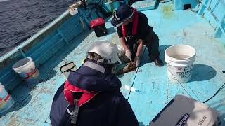 三陸釜石豊海丸カレイ釣り好調です