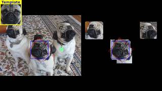 fast screening algorithm for template matching