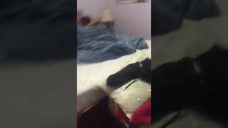 Husband caught wife cheating | wife affair with boyfriends