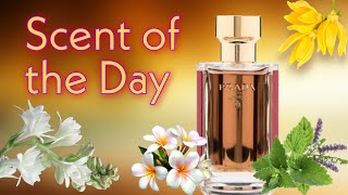 SOTD: La Femme Prada Intense by Prada, a distinctly feminine fragrance with depth and character