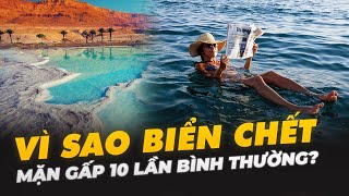 VÌ SAO BIỂN CHẾT MẶN GẤP 10 LẦN BÌNH THƯỜNG?