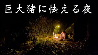 【ソロキャンプ】小川には野生動物が集まる。【backyard camp】