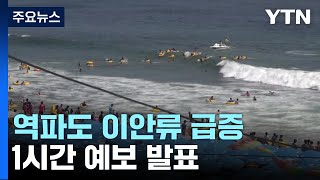 공포의 역파도 이안류 2배↑...1시간 예보 발표 / YTN