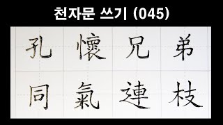 🦋천자문 손글씨쓰기(045)딥펜으로 쓰는 한자 [ 획순 ] 孔懷兄弟 同氣連枝(공회형제 동기연지)/千字文/Thousand character classic/Chinese/천자문 펜글씨