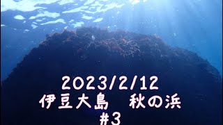 2023/2/12  伊豆大島　秋の浜　#3