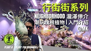 行街街系列 | NEIGHBORHOOD 瀧澤伸介 潮玩塊根植物 (Caudex) 入門介紹 PLANT B  MK 旺角 象牙宮 魔界玉 龜甲龍 |  Mong Kok Hong Kong