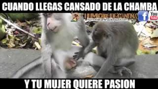 Cuando llegas zanjado del trabajo y tu vieja quiere pasion