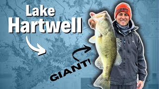 Lake Hartwell Stop #2 FOM Tournament - Winter Ditches