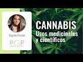 Regulación de usos medicinales y científicos en Colombia del cannabis | PGP Abogados