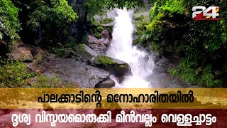 പാലക്കാടിന്റെ മനോഹാരിതയിൽ ദൃശ്യ വിസ്മയമൊരുക്കി മീൻവല്ലം വെള്ളച്ചാട്ടം