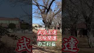 鳥居に吊るされてるコレは何？厄除開運の茨城県阿見町の鹿島神社#shorts #遠隔参拝