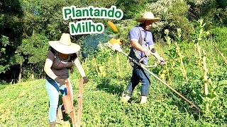 ROÇANDO TALOS DA LAVOURA COM A ROÇADEIRA/PLANTANDO MILHO COM MÁQUINA MANUAL/PASSANDO ROUNDUP NA ROÇA