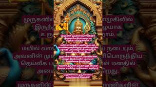 முருகன்வாக்கு🙏🏻#lordmuruga#tamilkadavul#bakthitv #murugan#hindugod#hindudeity #கந்தசஷ்டிவிரதம்#song