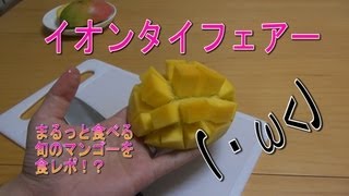 GETならず！【イオン】タイフェアーまるっと食べる旬のマンゴーを食レポ！？