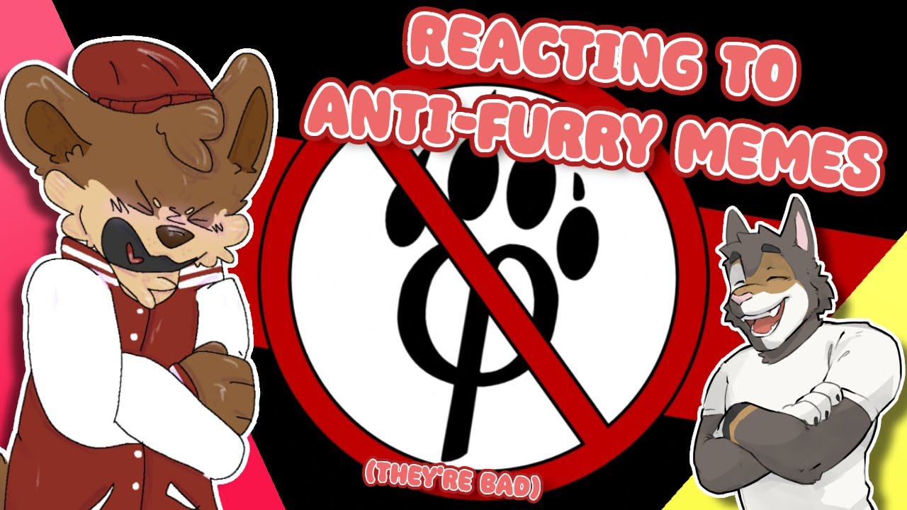 Furries React To Anti Furry Memes Ft Barley The Cat Youtube
