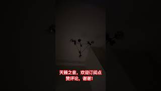 天籁之音，欢迎订阅点赞评论，谢谢！