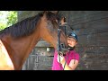 how to fit a schockemohle equitus bridle forelock u0026 load