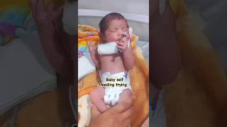 Newborn baby self feeding trying/baby reaction #medicalstudent #newbornbaby #trending #youtubeshorts