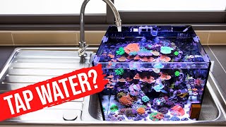 A Definitive Answer: Do You Need RO/DI Water for a Saltwater Aquarium or Reef Tank?
