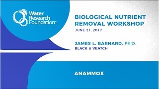 Biological Nutrient Removal Workshop: Anammox