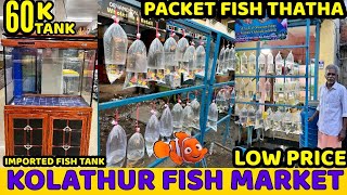 Kolathur Aquarium Fish Market 2025🔥🔥|| 🤠Packet Fish Thatha 🤠||  kolathur Pocket Fish ||🦞🐠🦞