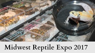 Midwest Reptile Expo August 2017 | shaavery