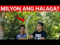 Halaman Na MILYON Ang Halaga,Hinanap Ko Sa Isang ISLA