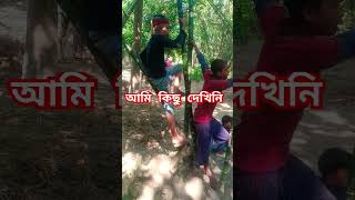 আমি কিছুই দেখিনি কে দেখেছে জানাচ্ছি।