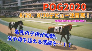 【POG2020】2歳新馬戦注目馬紹介（8/29、8/30）モーリス四天王、名牝シンハライトの子供がデビュー！クラシック路線を目指して…。【今週の新馬戦】