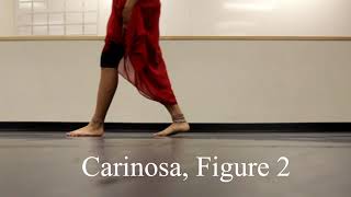 carinosa figure 2