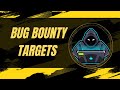 How I Choose Bug Bounty Targets