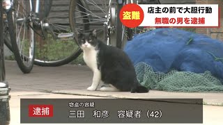 【放送事故】犯人が猫みたいになってツボるキャスター