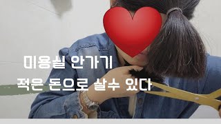 외벌이+프리랜서가족//중딩4인 생활비80만원살기/아껴서 노후에 여행다니기