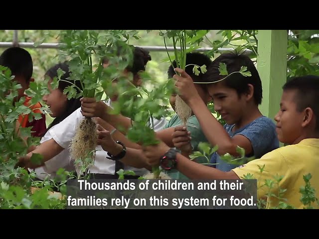 Restore Food Source For Indigenous Community Peru Globalgiving