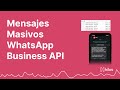 Cómo enviar mensajes masivos con WhatsApp Business (Cloud API) desde un .csv con Hilos