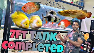 7ft Aquarium Setup Completed 🥳 Monster Fish's Varieties | Santa Kingkong Parrot | Exotic Fishes |