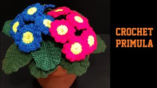 How to Crochet Primula flower