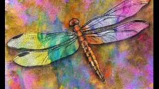 Dreams of a Dragonfly