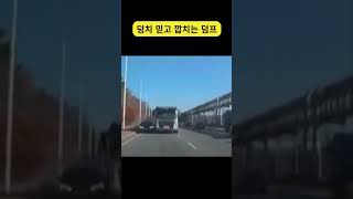 덩치 믿고 깝치는 덤프