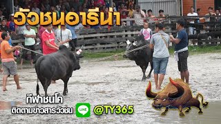 ดุกด้างเพชรรุ่งเรือง (ซัดดำ) vs นิลพยัคฆ์ขวัญเมืออง (ไอ้กลากพัทลุง)