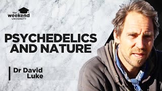 The Science of Psychedelics & Nature Connectedness – Dr David Luke, PhD
