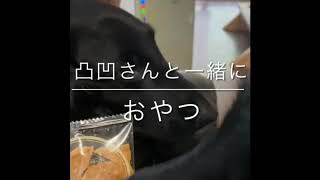 凸凹フラット　レン君おやつ食べず