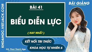 Khoa học tự nhiên 6 Kết nối tri thức Bài 41: Biểu diễn lực (HAY NHẤT)