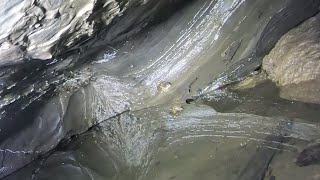 Investigating A Cave Sinkhole Lead And Finding A Potentially Awesome Cavern System