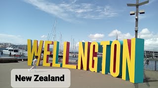 Wellington New Zealand: Te Papa museum,  harbour, markets, Atura hotel 뉴질랜드 웰링톤: 시내, 박물관, 호텔 내부